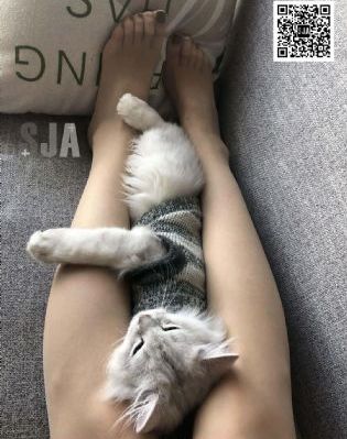 霸道总裁爱上我免费全集_蓝光完整视频观看